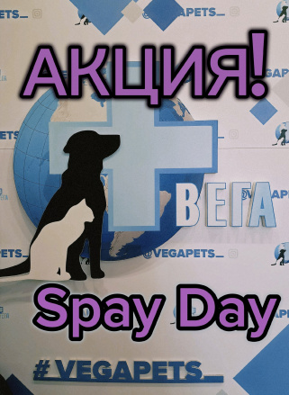 Льготная стерилизация